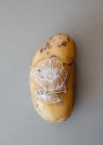 Fermentierte Kartoffelgnocchi Fermentierte Kartoffelgnocchi