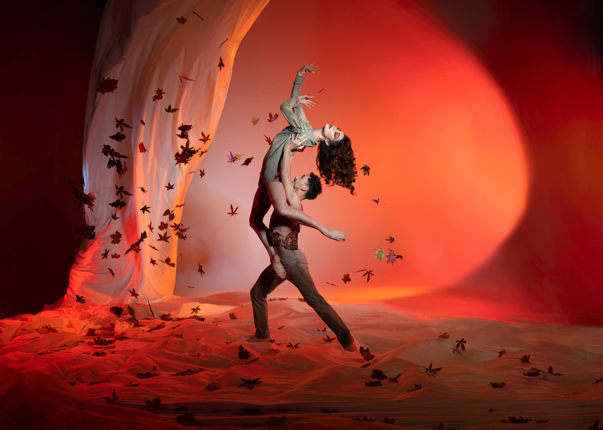 Introdans