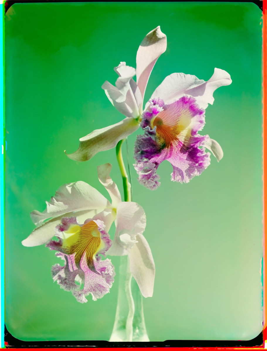 Werner Bischof – Unseen Colour