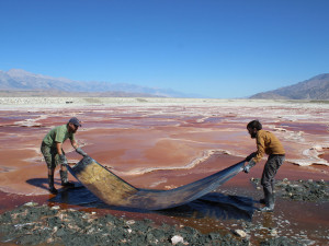 Mining Photography. Der ökologische Fussabdruck der Bildproduktion