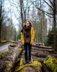 Im Holz zuhause Im Holz zuhause