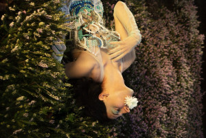 Tanzfest Winterthur | Neil Höhener Creations