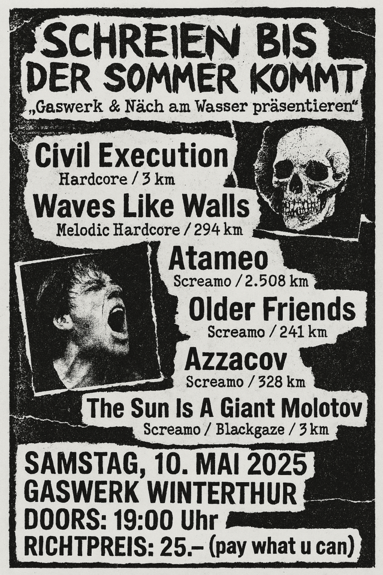 Schreien bis der Sommer kommt: Diy Hardcore Screamo Punk Festli - Wave Like Walls (DE) // Atameo // Azzacov (DE) // The Sun Is A Giant Molotov (CH) + More