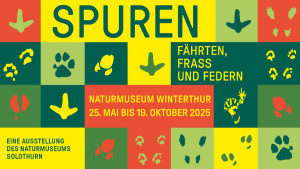 Vernissage: Spuren - Fährten, Frass und Federn